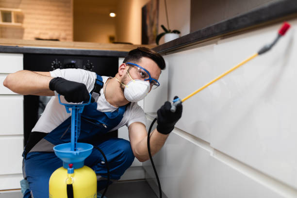 Best Cockroach Control Services  in Detroit Beach, MI
