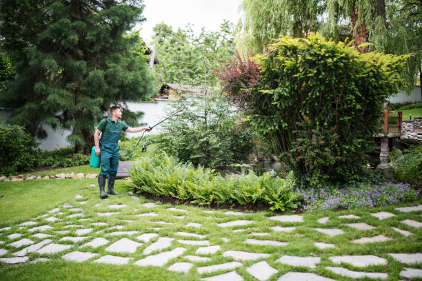 Reliable Detroit Beach, MI Pest Control Solutions