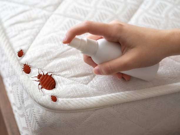 Best Pest Inspection Near Me  in Detroit Beach, MI