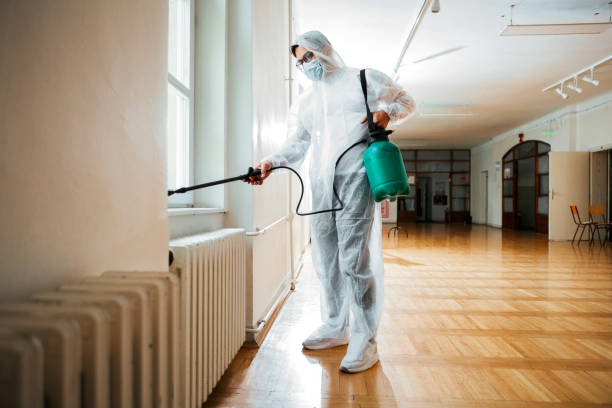 Best Affordable Pest Control Services  in Detroit Beach, MI