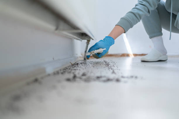 Best Pest Control for Businesses  in Detroit Beach, MI